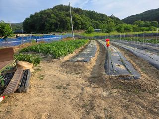 희상님의 자유주제 · 자유게시판 작성글 사진