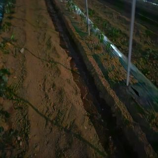 오영도님의 자유주제 · 자유게시판 작성글 사진