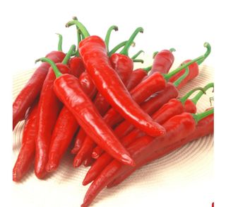 대산농사대장님의 고추 · 비료•농약 작성글 사진