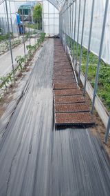 팜모닝 자유주제·자유게시판 게시글 이미지