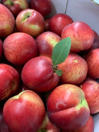 써니네님의 작성글 사진