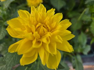 강원사랑인님의 작성글 사진