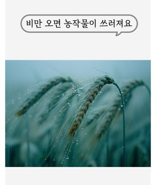 대산농사대장님의 작성글 사진