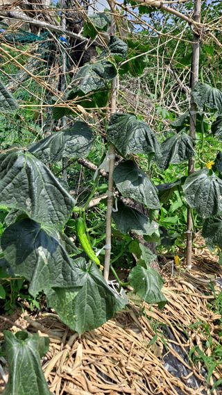 MSG0074님의 자유주제 · 자유게시판 작성글 사진