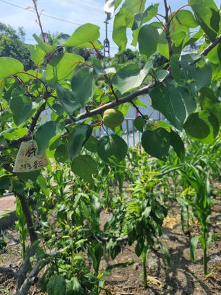 김용대님의 자유주제 · 자유게시판 작성글 사진