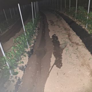 오영도님의 자유주제 · 자유게시판 작성글 사진