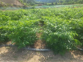 진동희님의 자유주제 · 자유게시판 작성글 사진