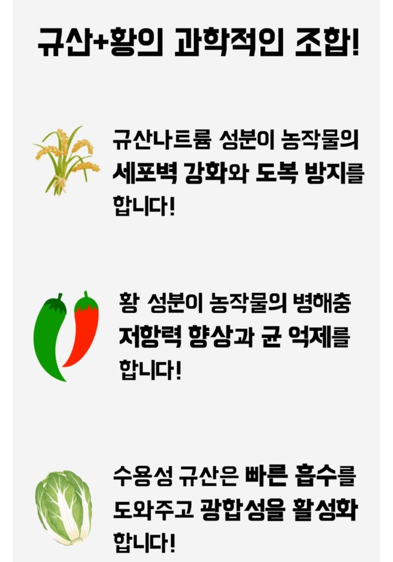 대산농사대장님의 장터 판매 상품 [특허제 0454288호 규산황골드 1L 유기농자재 병충해예방 ] 첨부 사진