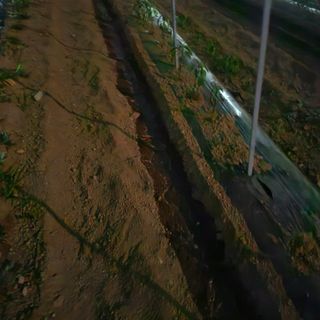 오영도님의 자유주제 · 자유게시판 작성글 사진