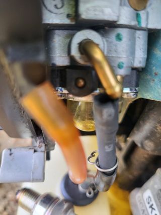 박철용 님의 자유주제 · 자유게시판 작성글 사진