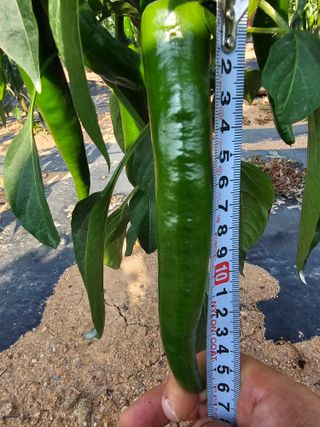 김문철님의 자유주제 · 자유게시판 작성글 사진