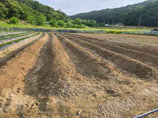 희상님의 자유주제 · 자유게시판 작성글 사진