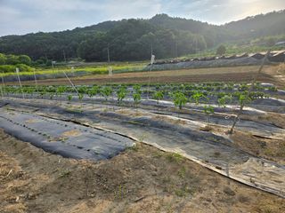 희상님의 자유주제 · 자유게시판 작성글 사진