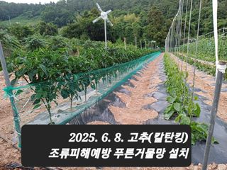 박성민님의 자유주제 · 자유게시판 작성글 사진