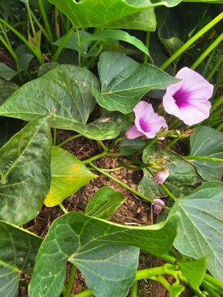 이부균님의 자유주제 · 자유게시판 작성글 사진