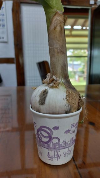 김여사시골살이님의 자유주제 · 자유게시판 작성글 사진