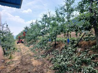 알 수 없음님의 자유주제 · 자유게시판 작성글 사진