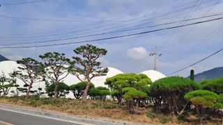 MSG0074님의 자유주제 · 자유게시판 작성글 사진