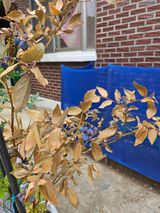 팜모닝 자유주제·자유게시판 게시글 이미지