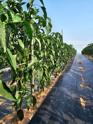 김문철님의 자유주제 · 자유게시판 작성글 사진