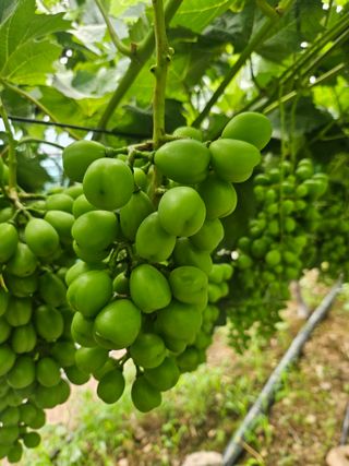 최지훈님의 자유주제 · 자유게시판 작성글 사진