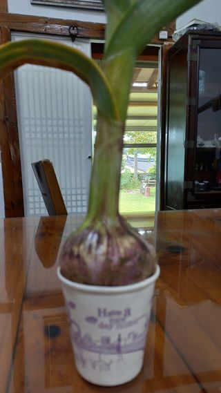 김여사시골살이님의 자유주제 · 자유게시판 작성글 사진