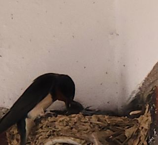 하은와송~♡♡♡~님의 자유주제 · 자유게시판 작성글 사진