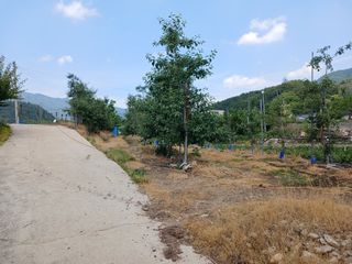 알 수 없음님의 자유주제 · 자유게시판 작성글 사진