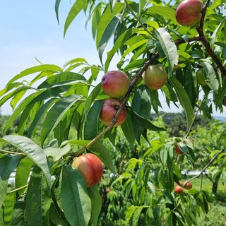 써니네님의 작성글 사진