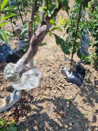 김용대님의 자유주제 · 자유게시판 작성글 사진