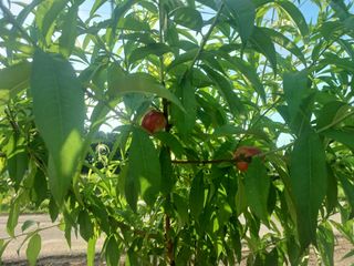 이정민님의 자유주제 · 사진전 작성글 사진