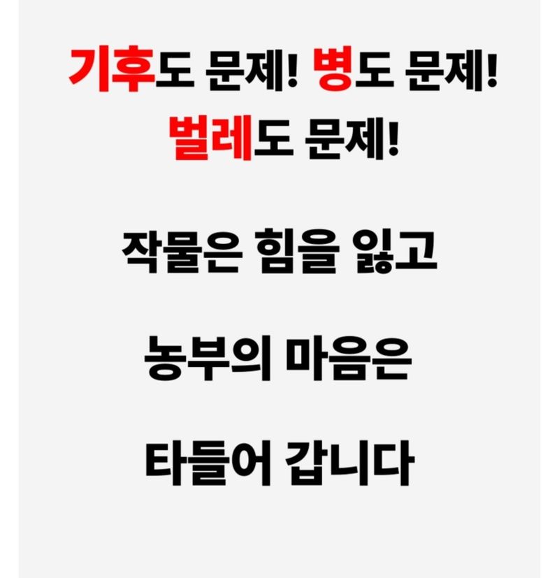 대산농사대장님의 장터 판매 상품 [특허제 0454288호 규산황골드 1L 유기농자재 병충해예방 ] 첨부 사진