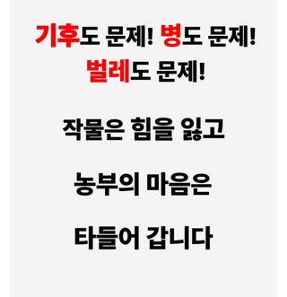 대산농사대장님의 작성글 사진
