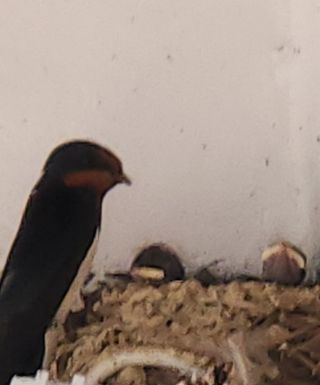 하은와송~♡♡♡~님의 자유주제 · 자유게시판 작성글 사진