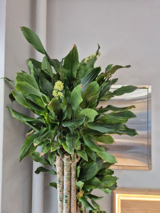 오형섭 님의 자유주제 · 자유게시판 작성글 사진