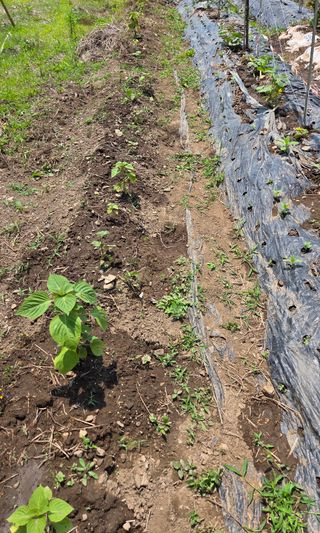 오현백님의 자유주제 · 자유게시판 작성글 사진