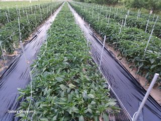 이창우님의 자유주제 · 자유게시판 작성글 사진