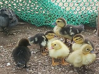 자유인 10496님의 자유주제 · 사진전 작성글 사진