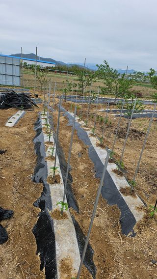 김호영님의 자유주제 · 자유게시판 작성글 사진