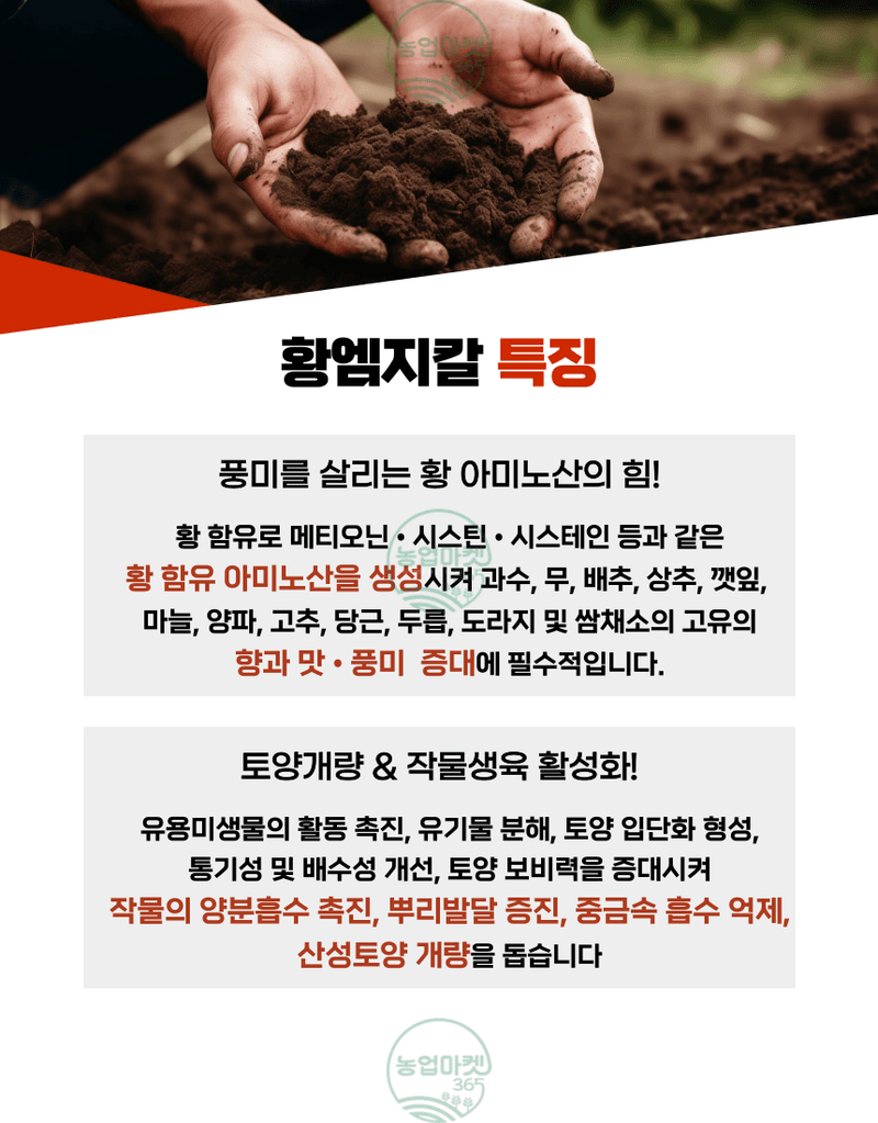 농업마켓365님의 장터 판매 상품 [농업마켓365 융전 황엠지칼 2kg 황 마그네슘 칼슘 밑거름 웃거름 텃밭 비료 유황합제 토양개량 마늘 양파 고구마] 첨부 사진