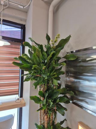 오형섭 님의 자유주제 · 자유게시판 작성글 사진