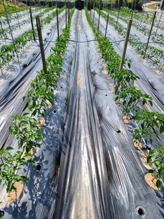 권병☆님의 자유주제 · 자유게시판 작성글 사진