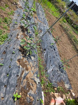 오현백님의 자유주제 · 자유게시판 작성글 사진