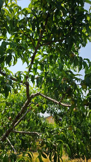 김호영님의 자유주제 · 자유게시판 작성글 사진