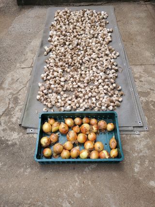 김윤철님의 자유주제 · 자유게시판 작성글 사진