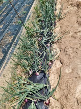 권병☆님의 자유주제 · 자유게시판 작성글 사진