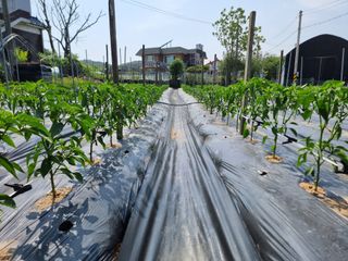 권병☆님의 자유주제 · 자유게시판 작성글 사진