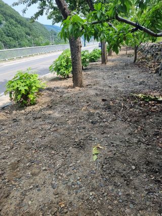 김용대님의 자유주제 · 자유게시판 작성글 사진