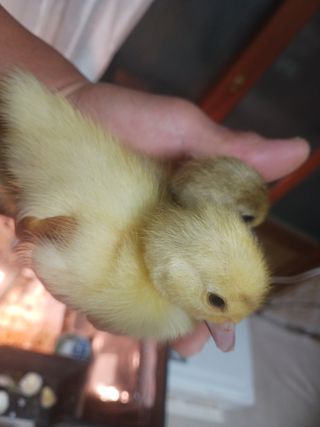 자유인 10496님의 자유주제 · 사진전 작성글 사진