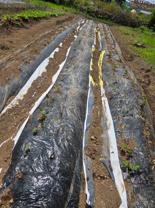 오현백님의 자유주제 · 자유게시판 작성글 사진